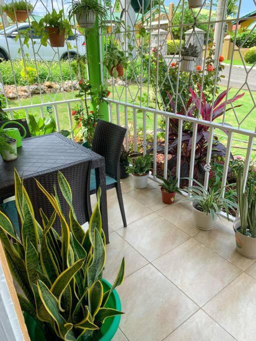 Cozy Villa Mammee Bay ภายนอก รูปภาพ